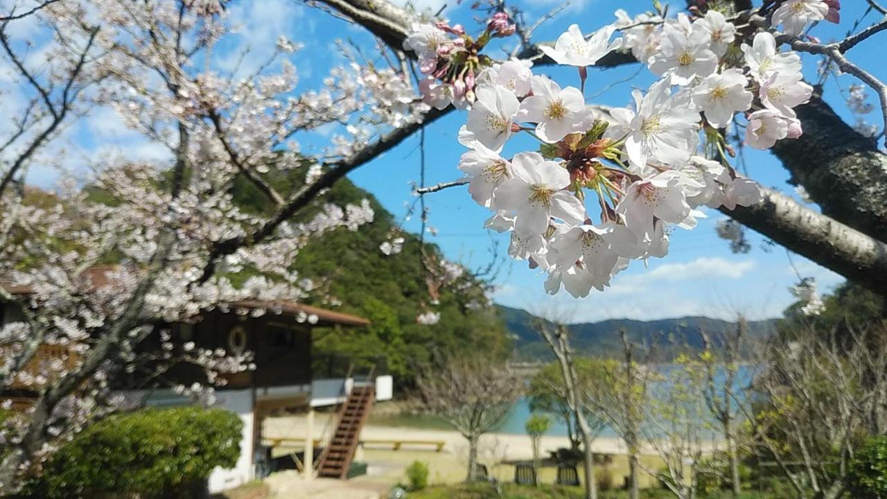 ホテル ペンションししくい 宍喰 エクステリア 写真